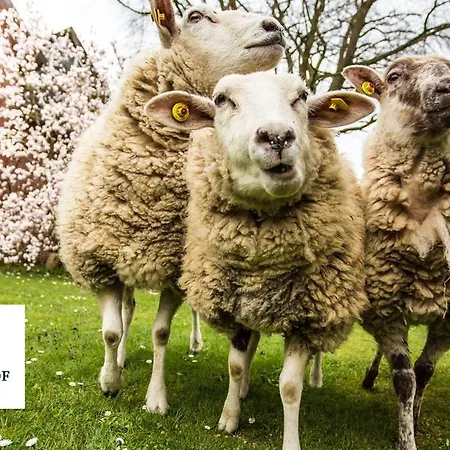 Hansenhof 3* Visselhovede